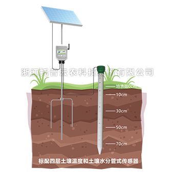 桃子视频APP污免费看下载管式剖面水分仪 TPGSQ-4