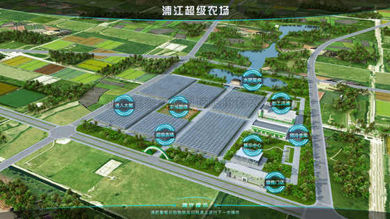 浦江超级农场：科技赋能让种植更高效