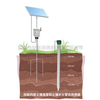 管式桃子视频APP污免费看下载墒情监测仪