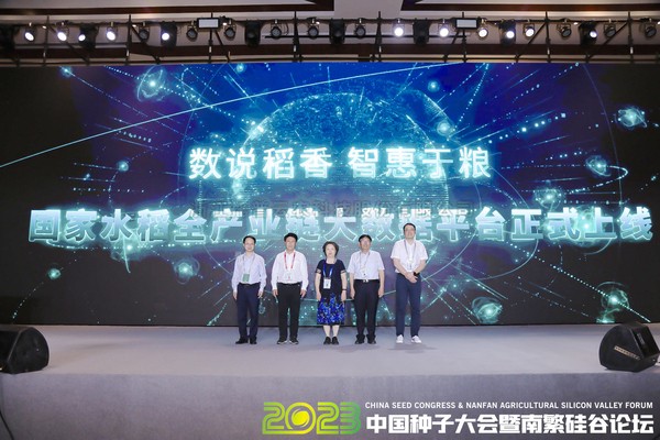 如何走稳中国“稻”路？科技赋能水稻全产业链发展