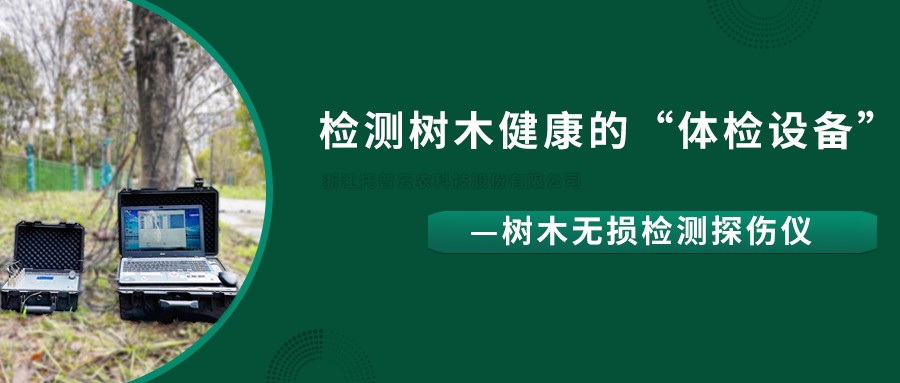 树木无损检测探伤仪精准检测树木健康状况，给出专业治疗方案