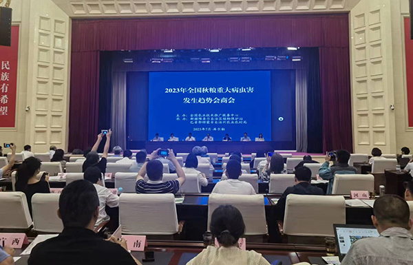 喜报！经现场公开测试，桃子视频APP黄下载智能虫情测报灯图像识别准确率达97.2%！