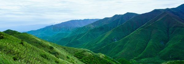 智慧护林有妙招，看太子山如何用科技守护森林