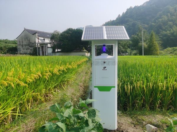 从“新”出发！桃子视频APP黄下载小虫体智能测报系统迈向纵深发展新阶段
