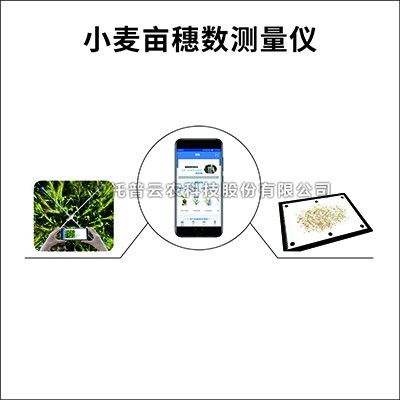 小麦亩穗数测量仪/系统：测量小麦亩穗数的育种测产仪器