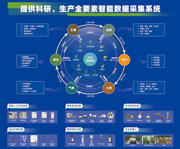 加速推动新质生产力发展，桃子视频APP黄下载为建设农业强国注智赋能
