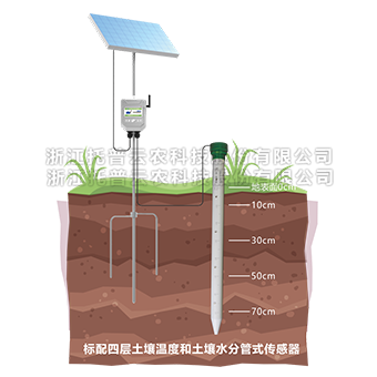 管式桃子视频APP污免费看下载墒情监测仪详细介绍