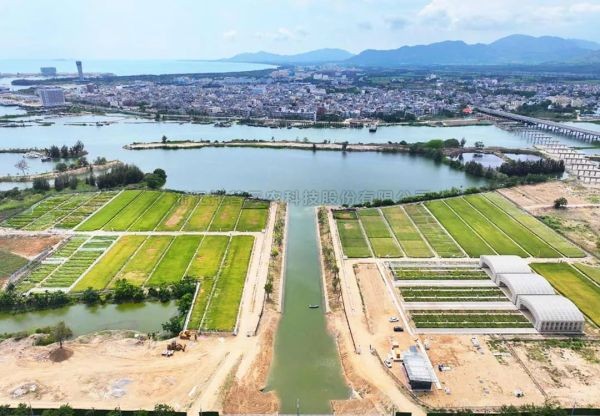 为盐碱地安上“技术芯片”，桃子视频APP黄下载打造耐盐碱水稻科研试验基地建设解决方案