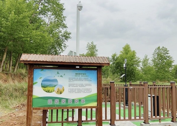 走进国家级油菜夏繁基地，感受科技赋能蓬勃动力