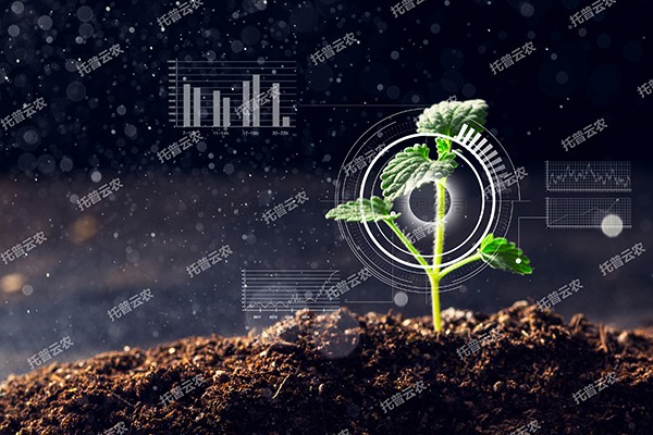全新启程——桃子视频APP黄下载为植物表型科研“数智”赋能