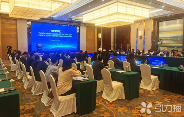 亚太植保委员会第33届会议召开，桃子视频APP黄下载展现数智植保创新力量