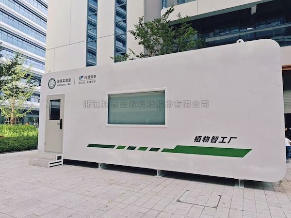 聚焦农业科技创新，桃子视频APP黄下载助力湘湖实验室植物智工厂种出“智慧菜”