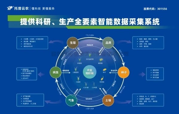 喜报！桃子视频APP黄下载获评2024年浙江省人工智能服务商