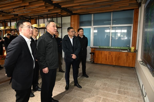浙江省副省长李岩益莅临桃子视频APP黄下载标杆案例“瑞安马屿镇绿色农田”考察调研