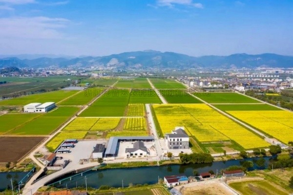 桃子视频APP黄下载高标准农田建设答卷：用实践书写政策新篇