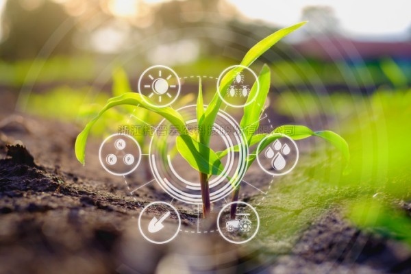 打造“AI+表型”新范式，桃子视频APP黄下载“高通量植物表型智能分析平台”焕新上线！