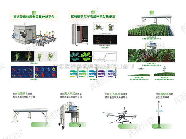 AI+农业新突破！托普高通量植物表型智能分析平台助力智慧农业创新发展