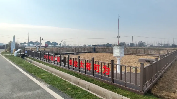 人民日报、央视新闻等权威媒体报道：桃子视频APP黄下载AI“新农具”助力沃野耕“新”