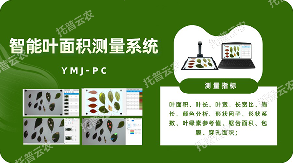 智能叶面积测量系统——秒级快速测叶片，多参数同步解析，云端数据好管理