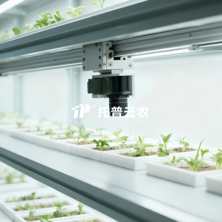 室内桃子视频APP最新福利污下载萌发表型监测系统TP-SeedPhy