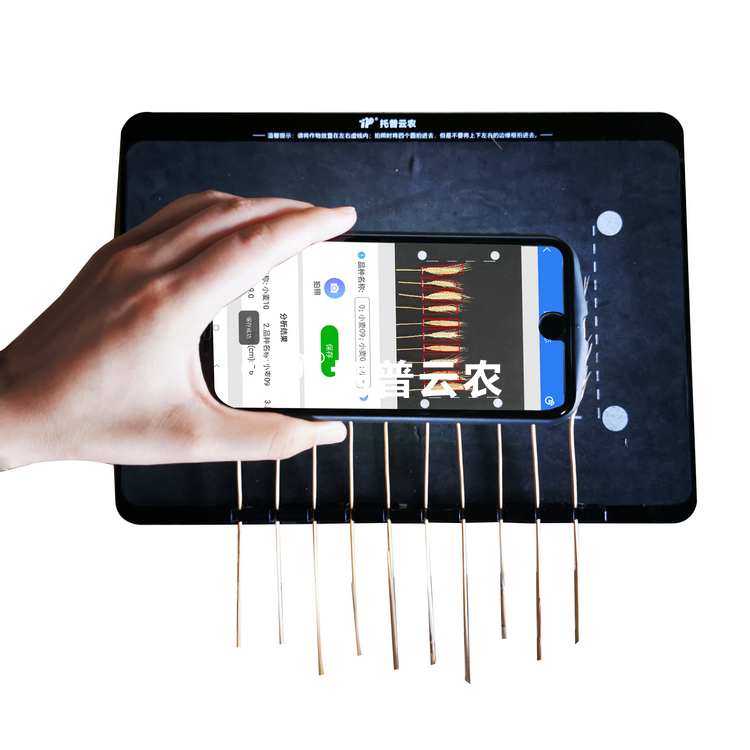 麦穗形态测量仪TPMS-X-1