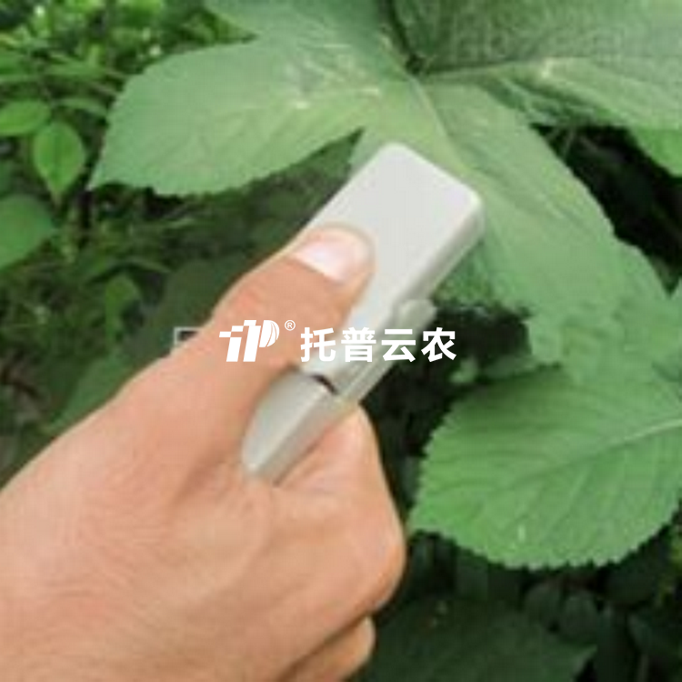 植物叶片温差测量仪TPW-A
