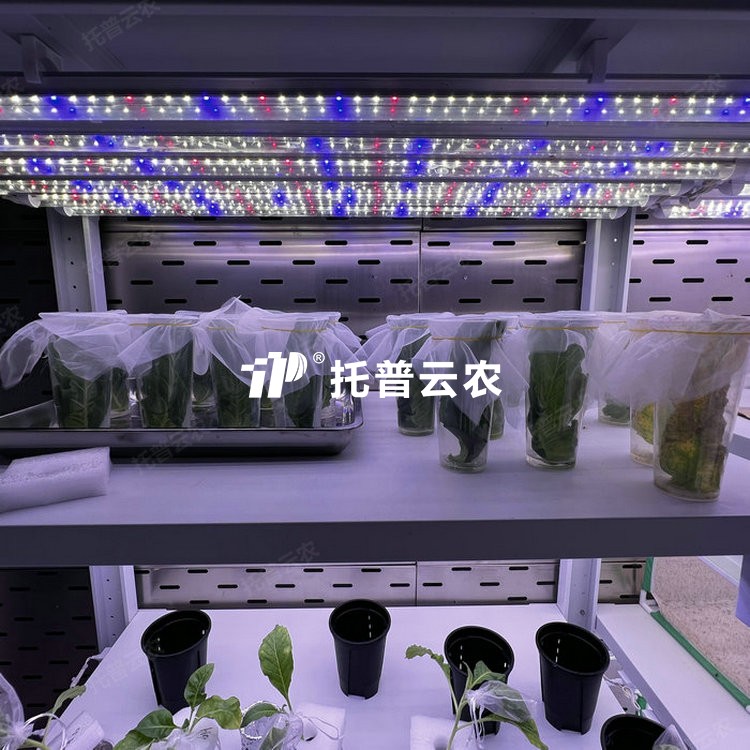 养虫室/