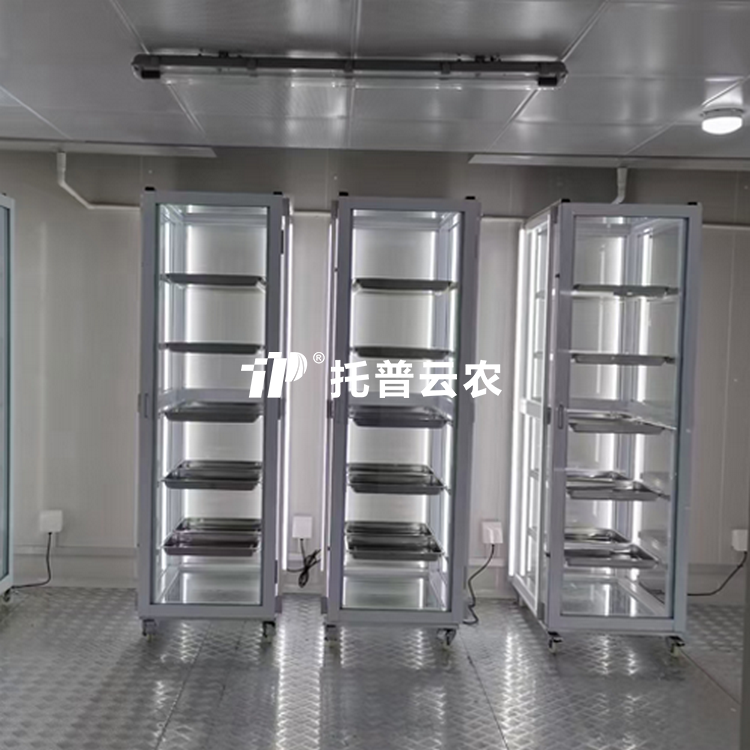 桃子视频APP最新福利污下载发芽室/