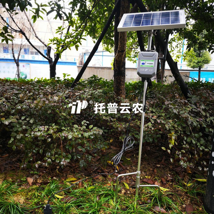 在线桃子视频APP污免费看下载水分温度盐分测定仪TPFS-WSY系列