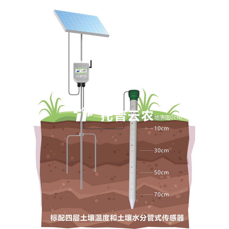 管式桃子视频APP污免费看下载墒情监测仪TPGSQ-4