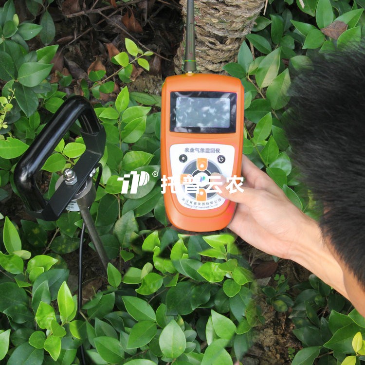 桃子视频APP污免费看下载紧实度测定仪TJSD-750-II