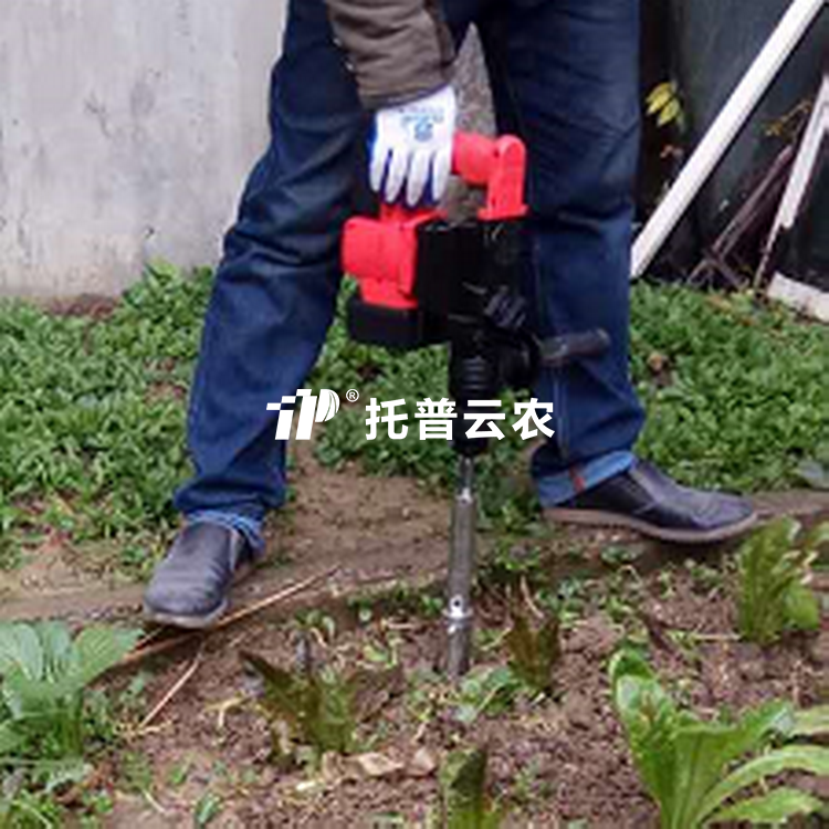 电动桃子视频APP污免费看下载取样器TPLQ-D1