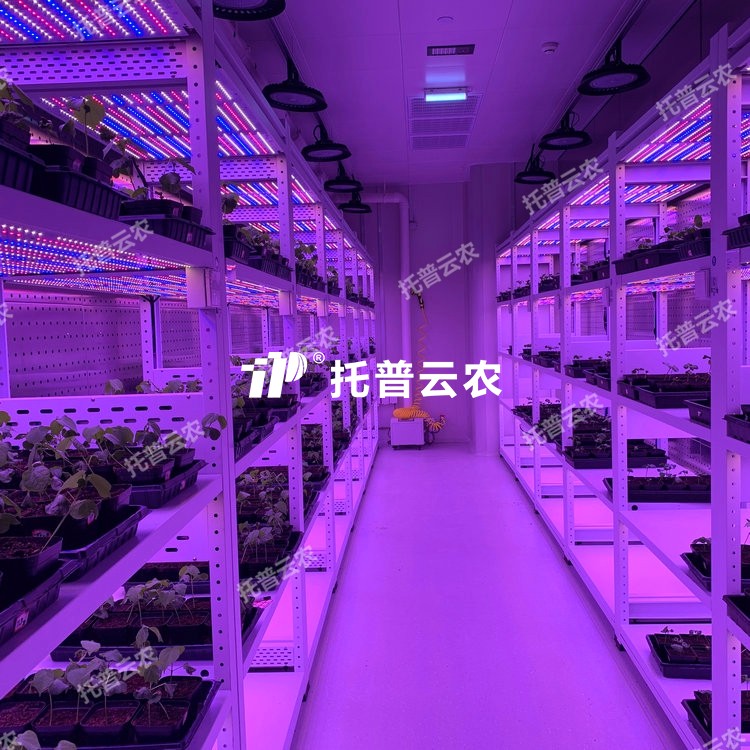 培养架型人工气候室介绍|培养架型人工气候室核心亮点有哪些？
