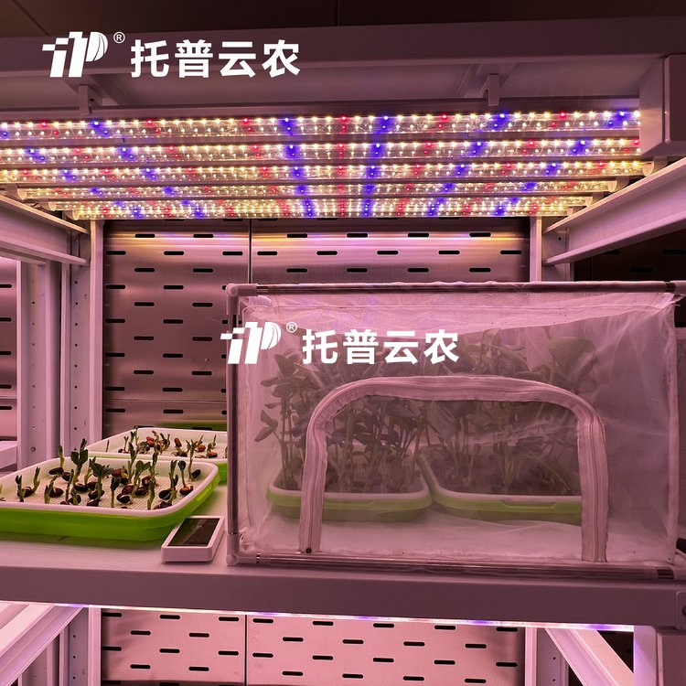 顶置光源人工气候室是什么？