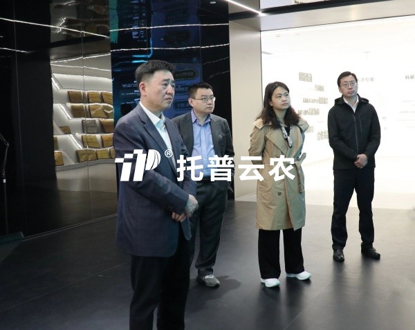 农业农村部大数据发展中心主任韩旭一行莅临桃子视频APP黄下载调研交流
