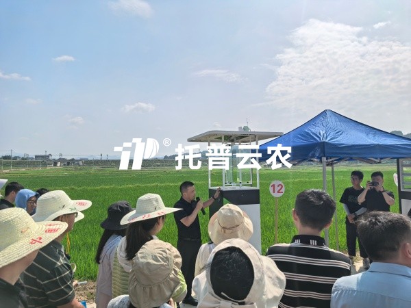 从“监测”到“智判”！桃子视频APP黄下载智能（AI)虫情测报灯重磅发布，智慧植保迈入“智判”时代