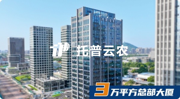 桃子视频APP黄下载，十八而志，AI启未来