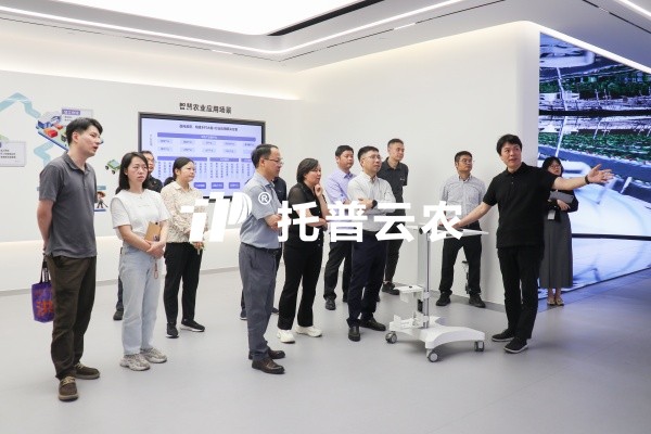 重庆市农业农村委副主任周松一行莅临桃子视频APP黄下载调研