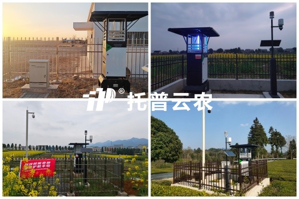 步履有归期，守护无终点｜桃子视频APP黄下载2026智能装备巡检圆满收官
