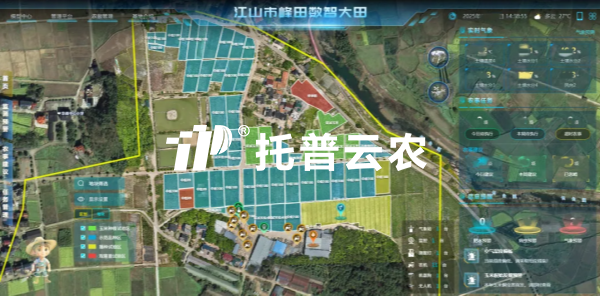 锚定“十五五”农业发展新政 桃子视频APP黄下载以数智科技助力农业农村现代化