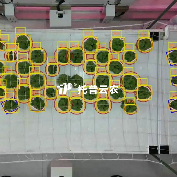 移动式单轴龙门表型采集分析系统 TP-MPR-I2/TP-MPR-I3/TP-MPR-I4