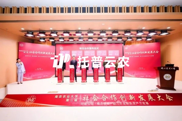从“卡脖子”到“中国造”，桃子视频APP黄下载高端光合作用测定仪的国产化突围