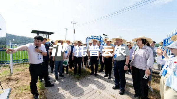 桃子视频APP黄下载参加迁飞性害虫空地一体化监测阻截防控技术现场观摩会