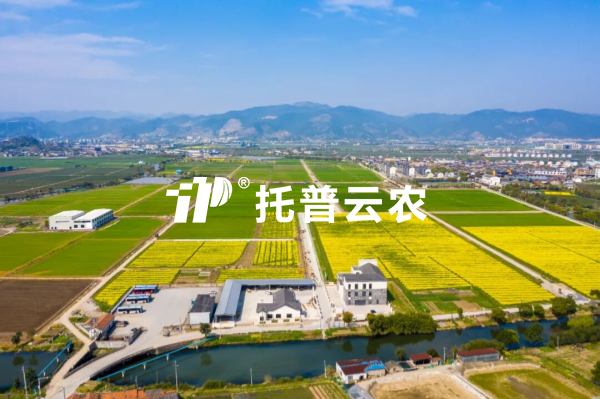 AI精准管控肥水，良田管护增粮增效