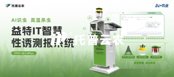 AI识虫 高温杀虫｜益特IT智慧性诱测报系统，赋能田间靶标害虫诱控难题