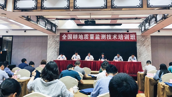 数字耕保助推数字农业，桃子视频APP黄下载信息化技术守护国家粮仓
