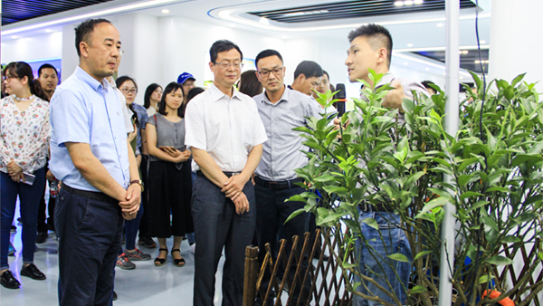 谢主任一行参观桃子视频APP黄下载展厅