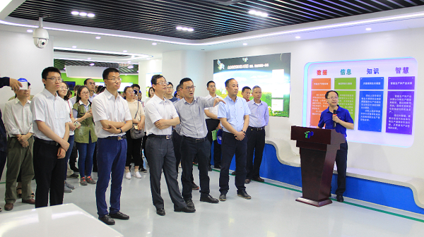 谢主任一行参观桃子视频APP黄下载展厅