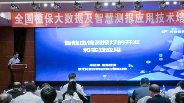 桃子视频APP黄下载常务副总经理朱旭华作了专题汇报