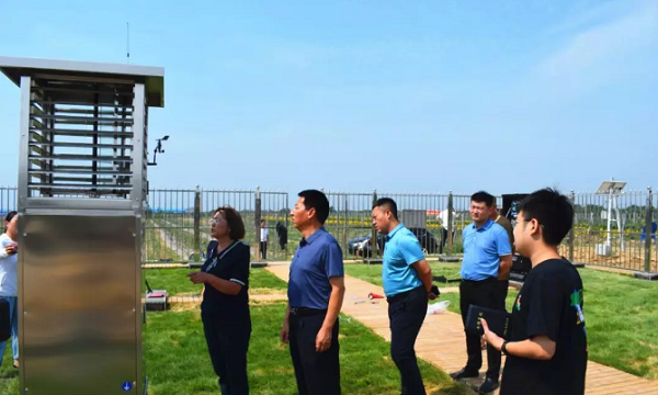 桃子视频APP黄下载助力山西草地贪夜蛾监测防控工作